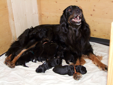 Betty mit ihren Kinder 1 Woche alt
